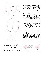 Bhagavan Medical Biochemistry 2001, page 684